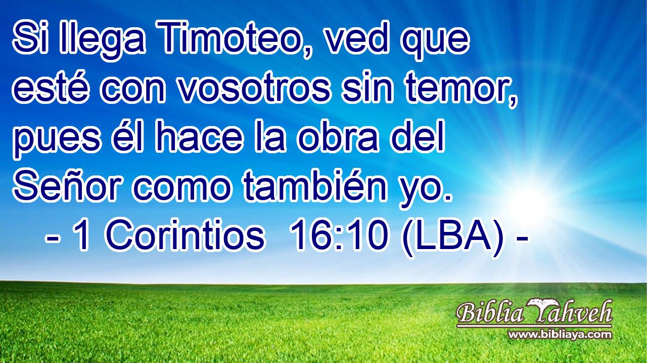 Si llega Timoteo, ved que esté con vosotros sin temor, pues él hace la obra del Señor como también yo.