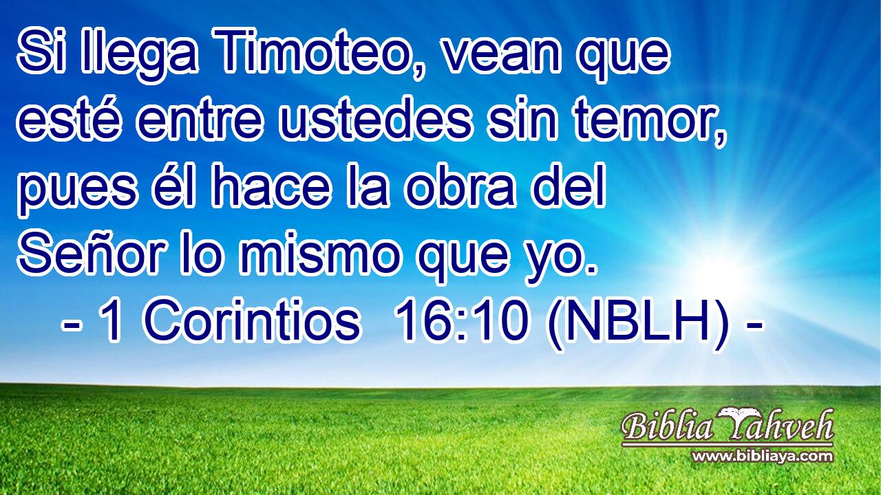  Si llega Timoteo, vean que esté entre ustedes sin temor, pues él hace la obra del Señor lo mismo que yo. 