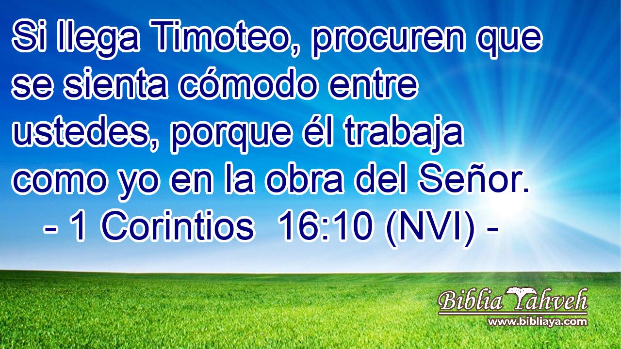  Si llega Timoteo, procuren que se sienta cómodo entre ustedes, porque él trabaja como yo en la obra del Señor. 