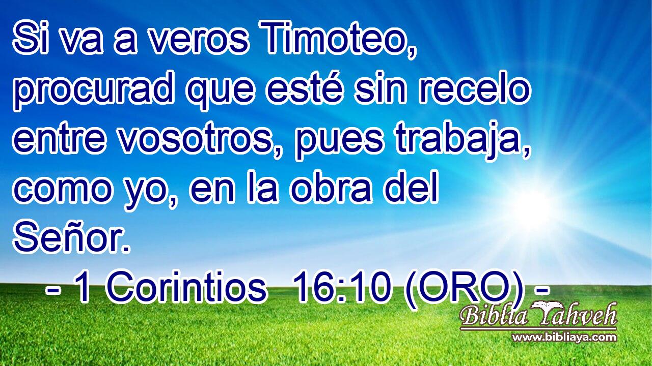  Si va a veros Timoteo, procurad que esté sin recelo entre vosotros, pues trabaja, como yo, en la obra del Señor. 