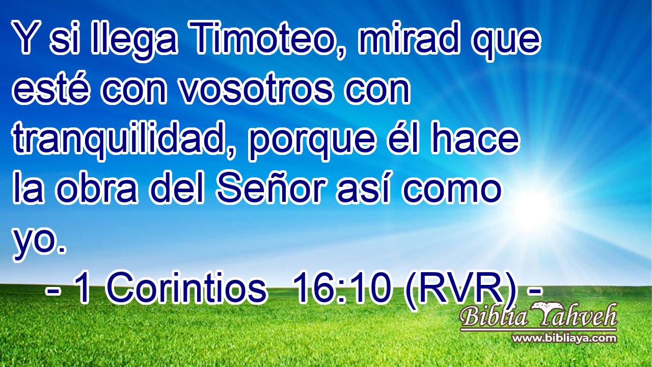 Y si llega Timoteo, mirad que esté con vosotros con tranquilidad, porque él hace la obra del Señor así como yo.