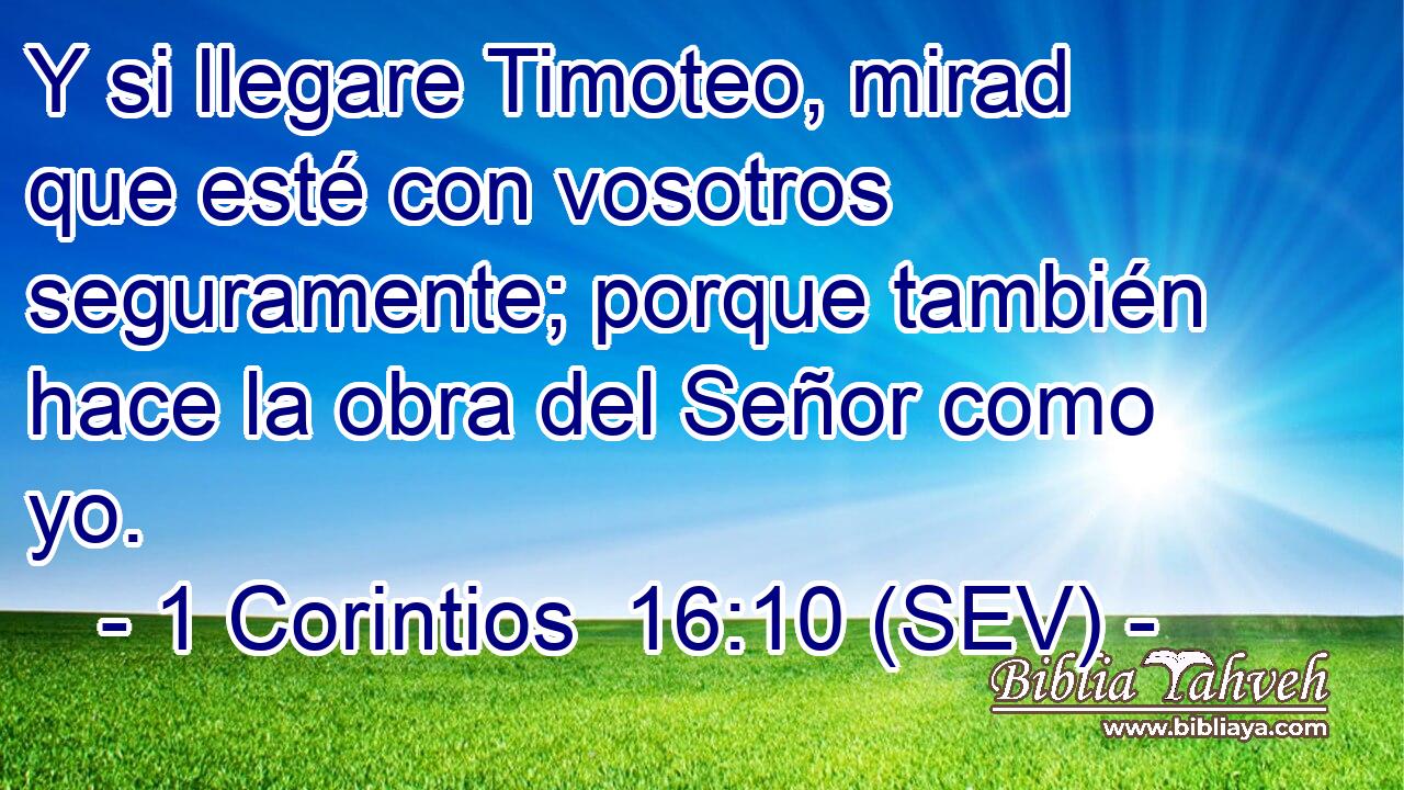 Y si llegare Timoteo, mirad que esté con vosotros seguramente; porque también hace la obra del Señor como yo.