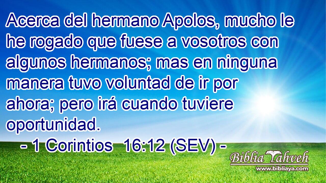 Acerca del hermano Apolos, mucho le he rogado que fuese a vosotros con algunos hermanos; mas en ninguna manera tuvo voluntad de ir por ahora; pero irá cuando tuviere oportunidad.