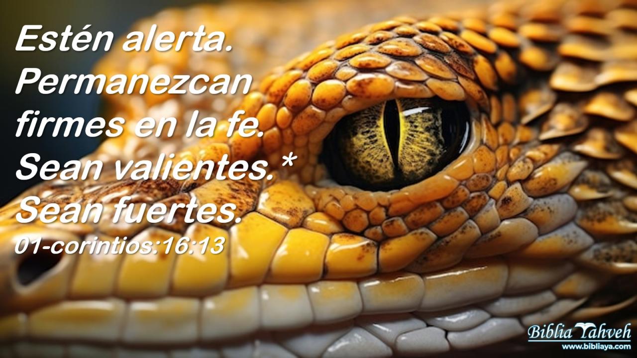 Estén alerta. Permanezcan firmes en la fe. Sean valientes.* Sean fuertes.