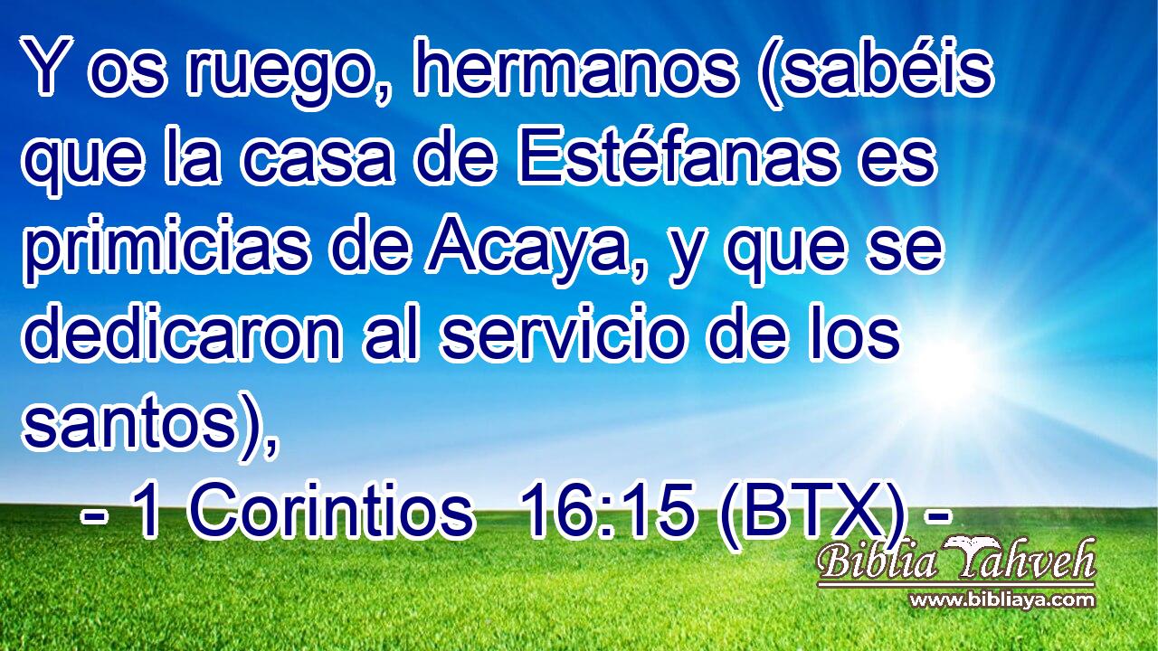 Y os ruego, hermanos (sabéis que la casa de Estéfanas es primicias de Acaya, y que se dedicaron al servicio de los santos),