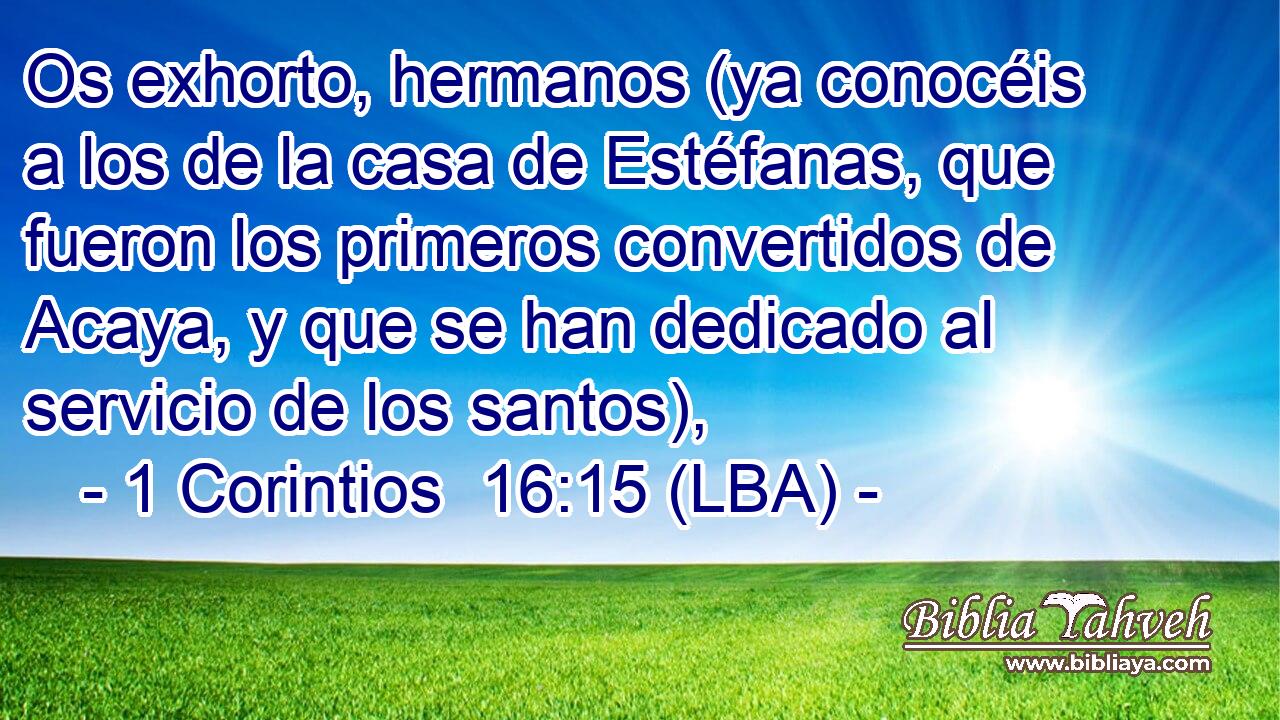 Os exhorto, hermanos (ya conocéis a los de la casa de Estéfanas, que fueron los primeros convertidos de Acaya, y que se han dedicado al servicio de los santos),