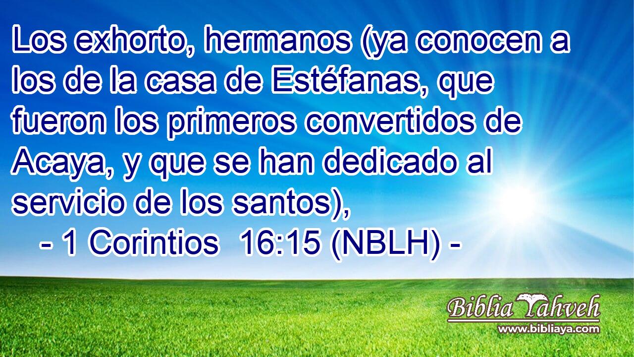  Los exhorto, hermanos (ya conocen a los de la casa de Estéfanas, que fueron los primeros convertidos de Acaya, y que se han dedicado al servicio de los santos), 