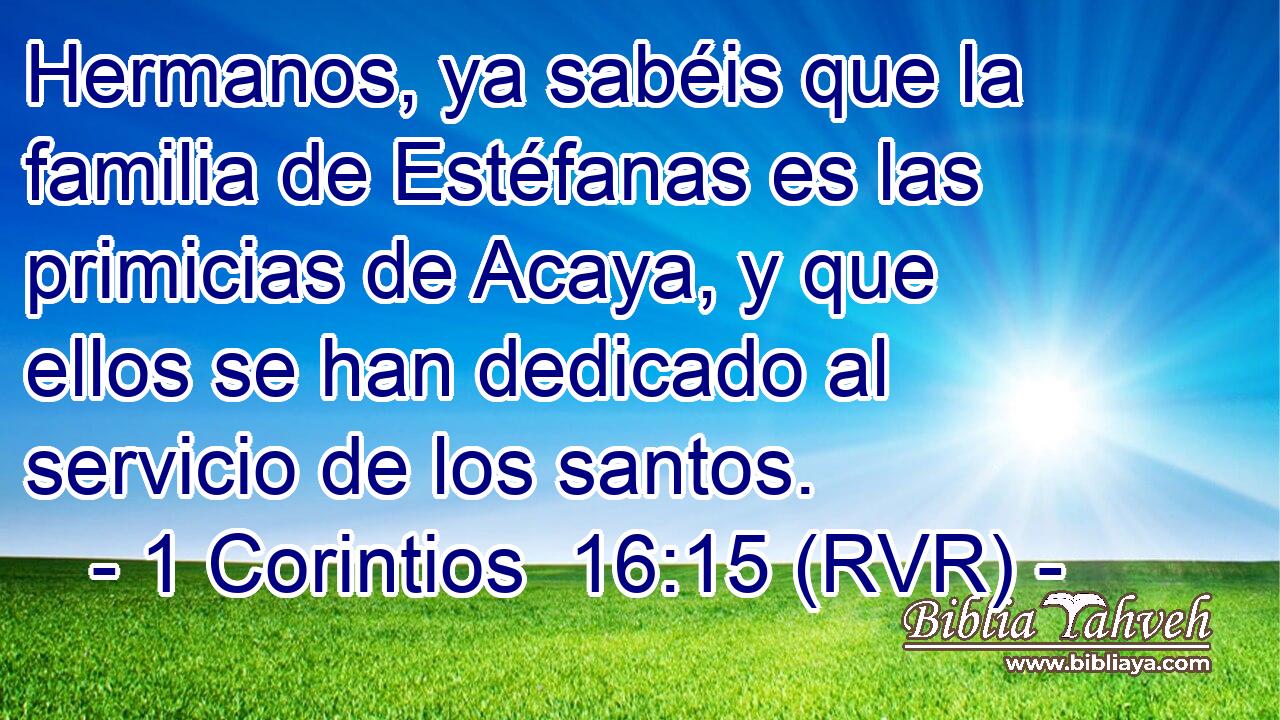 Hermanos, ya sabéis que la familia de Estéfanas es las primicias de Acaya, y que ellos se han dedicado al servicio de los santos.