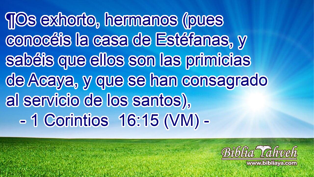  ¶Os exhorto, hermanos (pues conocéis la casa de Estéfanas, y sabéis que ellos son las primicias de Acaya, y que se han consagrado al servicio de los santos), 