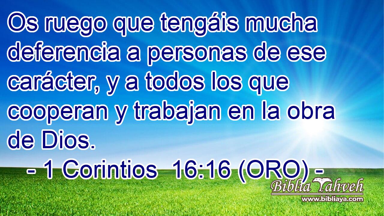  Os ruego que tengáis mucha deferencia a personas de ese carácter, y a todos los que cooperan y trabajan en la obra de Dios. 