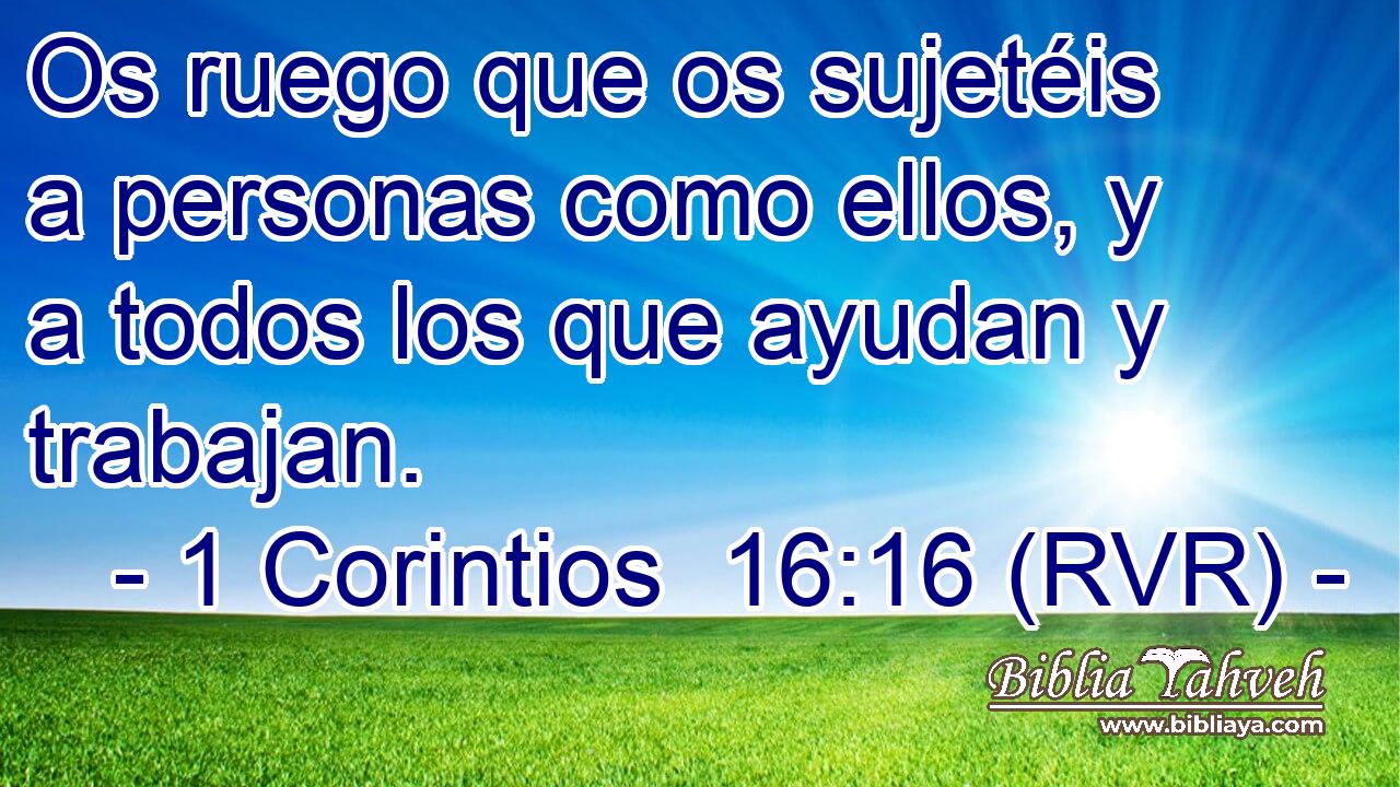 Os ruego que os sujetéis a personas como ellos, y a todos los que ayudan y trabajan.