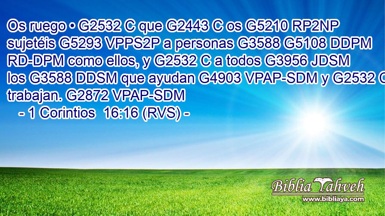 Os ruego • G2532 C que G2443 C os G5210 RP2NP sujetéis G5293 VPPS2P a personas G3588 G5108 DDPM RD-DPM como ellos, y G2532 C a todos G3956 JDSM los G3588 DDSM que ayudan G4903 VPAP-SDM y G2532 C trabajan. G2872 VPAP-SDM 