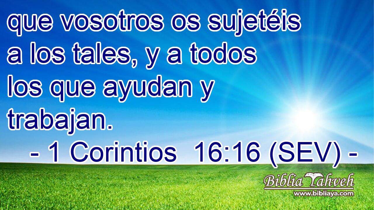 que vosotros os sujetéis a los tales, y a todos los que ayudan y trabajan.