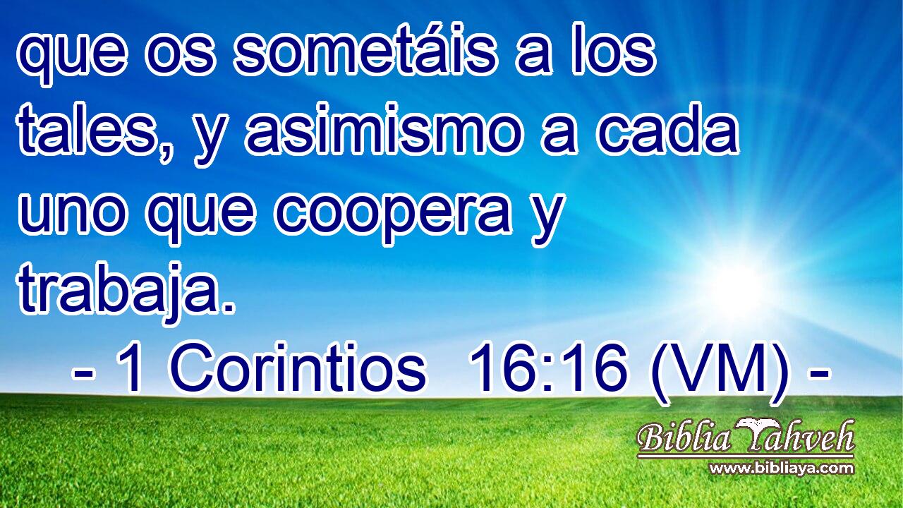  que os sometáis a los tales, y asimismo a cada uno que coopera y trabaja. 