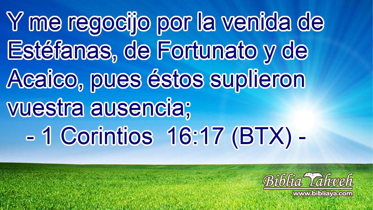 Y me regocijo por la venida de Estéfanas, de Fortunato y de Acaico, pues éstos suplieron vuestra ausencia;