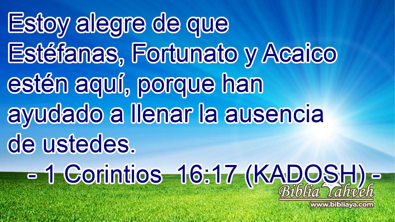  Estoy alegre de que Estéfanas, Fortunato y Acaico estén aquí, porque han ayudado a llenar la ausencia de ustedes. 