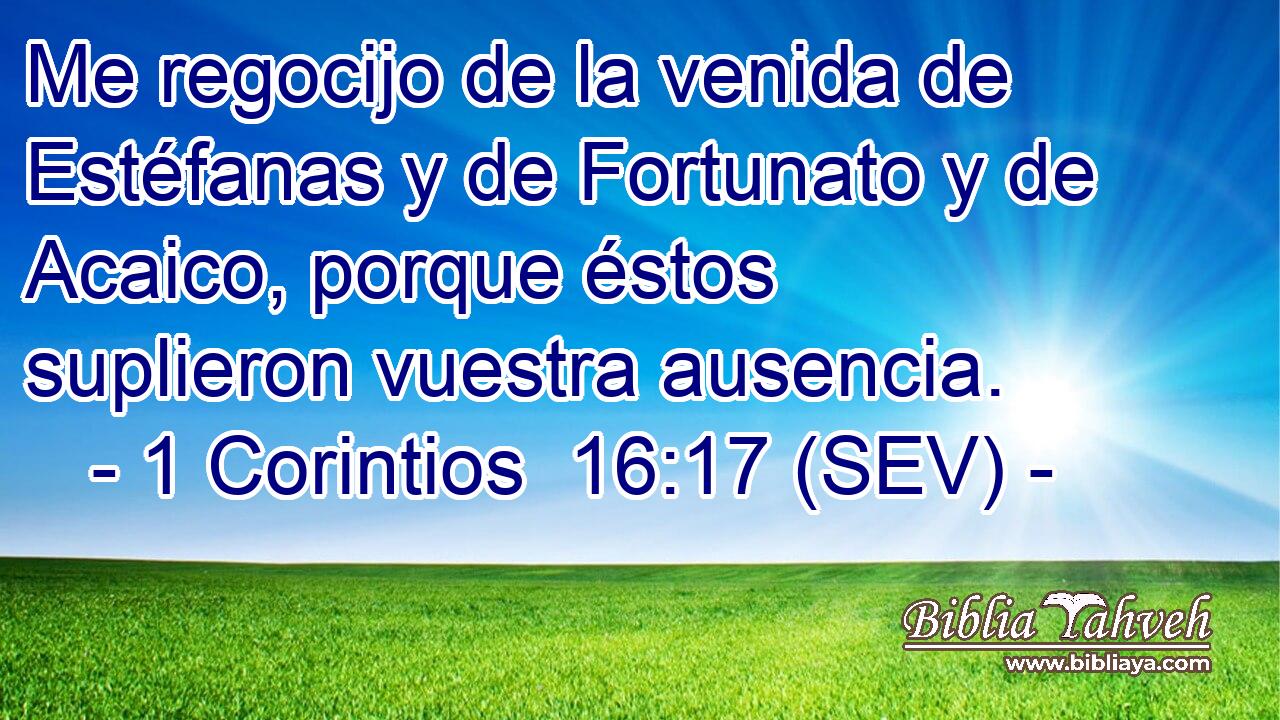 Me regocijo de la venida de Estéfanas y de Fortunato y de Acaico, porque éstos suplieron vuestra ausencia.