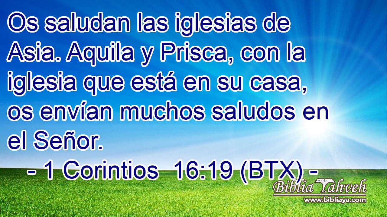 Os saludan las iglesias de Asia. Aquila y Prisca, con la iglesia que está en su casa, os envían muchos saludos en el Señor.