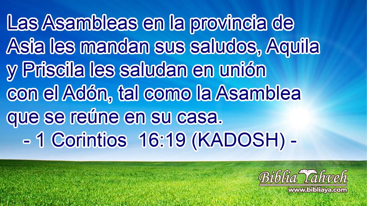  Las Asambleas en la provincia de Asia les mandan sus saludos, Aquila y Priscila les saludan en unión con el Adón, tal como la Asamblea que se reúne en su casa. 