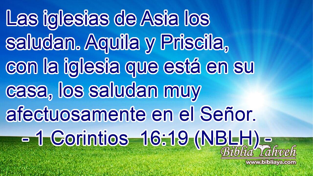  Las iglesias de Asia los saludan. Aquila y Priscila, con la iglesia que está en su casa, los saludan muy afectuosamente en el Señor. 