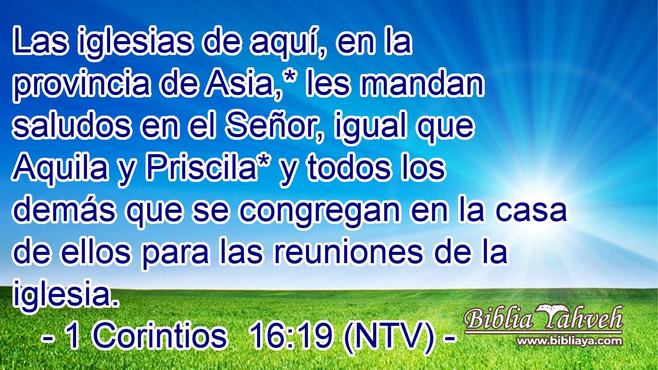 Las iglesias de aquí, en la provincia de Asia,* les mandan saludos en el Señor, igual que Aquila y Priscila* y todos los demás que se congregan en la casa de ellos para las reuniones de la iglesia.
