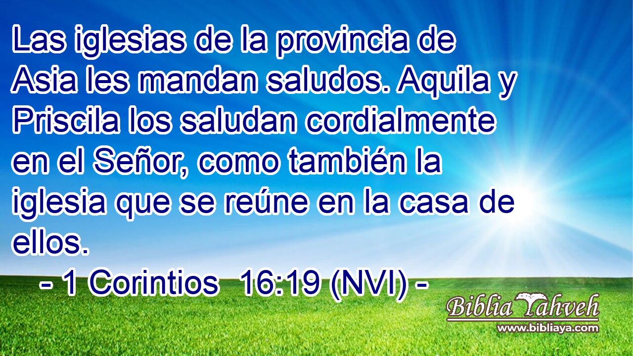  Las iglesias de la provincia de Asia les mandan saludos. Aquila y Priscila los saludan cordialmente en el Señor, como también la iglesia que se reúne en la casa de ellos. 