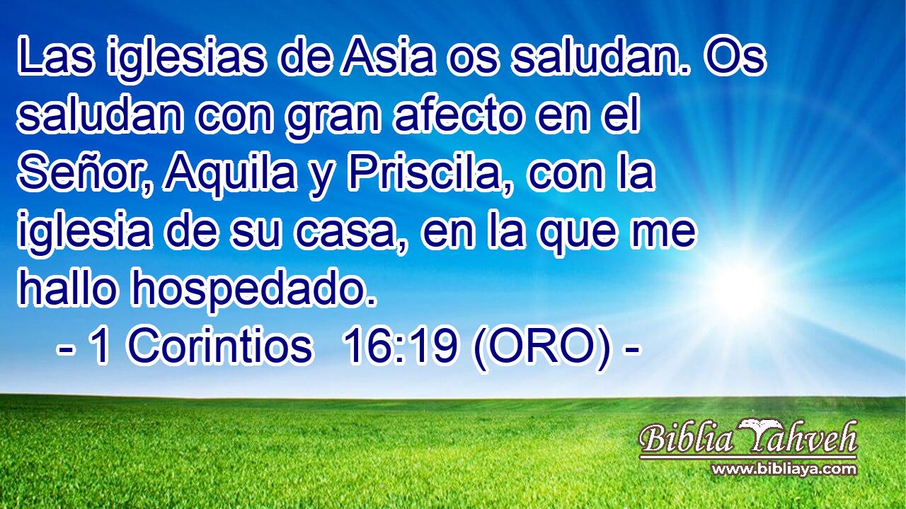  Las iglesias de Asia os saludan. Os saludan con gran afecto en el Señor, Aquila y Priscila, con la iglesia de su casa, en la que me hallo hospedado. 