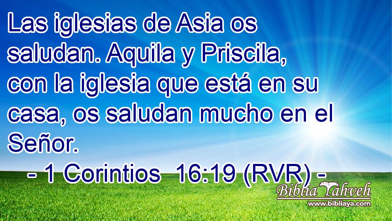 Las iglesias de Asia os saludan. Aquila y Priscila, con la iglesia que está en su casa, os saludan mucho en el Señor.