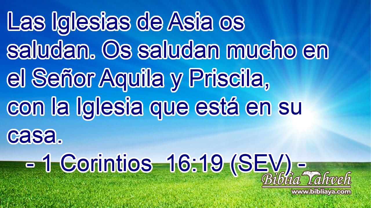 Las Iglesias de Asia os saludan. Os saludan mucho en el Señor Aquila y Priscila, con la Iglesia que está en su casa.