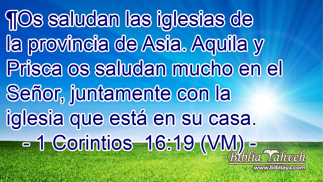  ¶Os saludan las iglesias de la provincia de Asia. Aquila y Prisca os saludan mucho en el Señor, juntamente con la iglesia que está en su casa. 