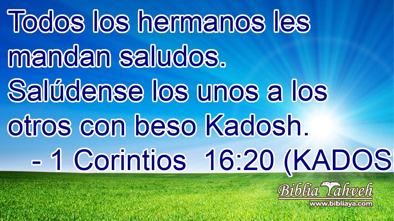  Todos los hermanos les mandan saludos. Salúdense los unos a los otros con beso Kadosh. 