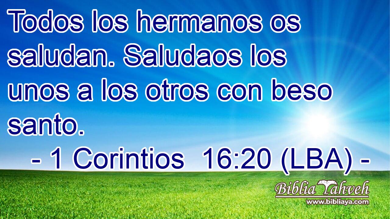 Todos los hermanos os saludan. Saludaos los unos a los otros con beso santo.