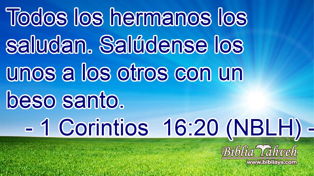  Todos los hermanos los saludan. Salúdense los unos a los otros con un beso santo. 