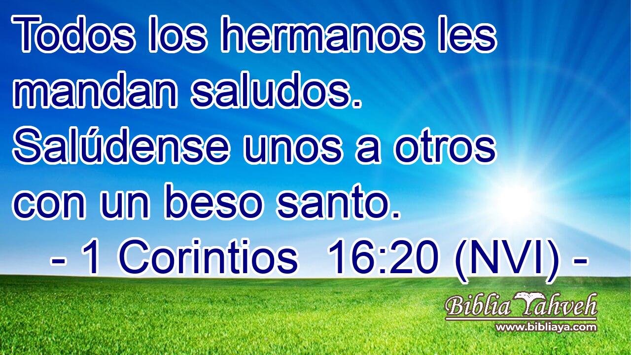  Todos los hermanos les mandan saludos. Salúdense unos a otros con un beso santo. 