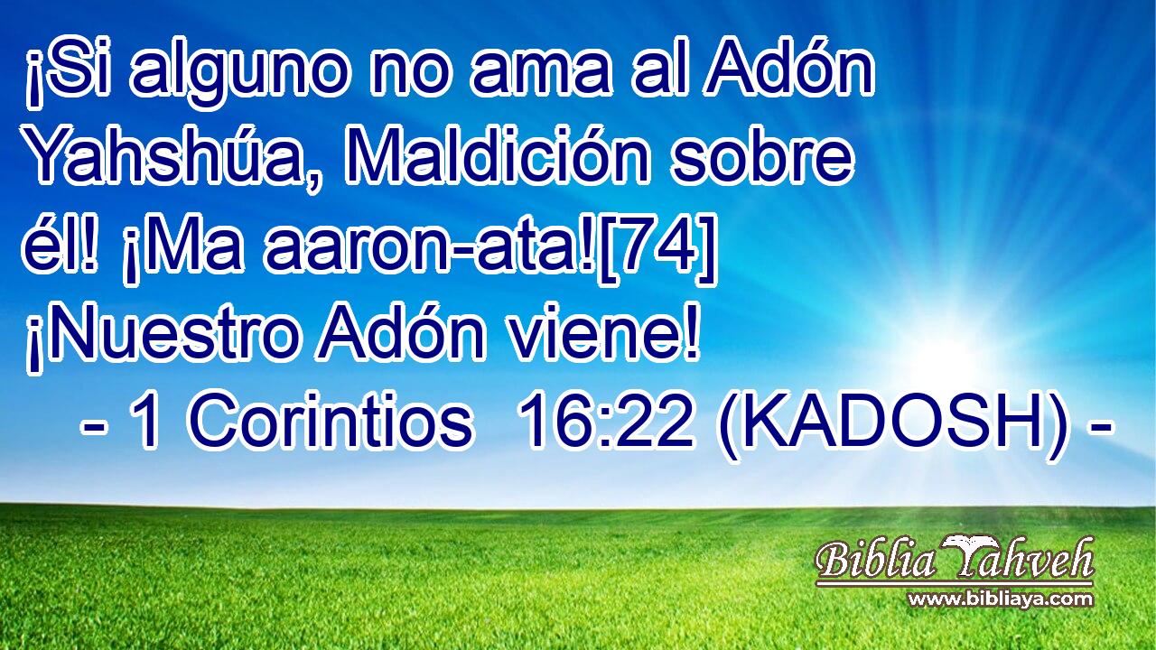  ¡Si alguno no ama al Adón Yahshúa, Maldición sobre él! ¡Ma aaron-ata![74] ¡Nuestro Adón viene! 