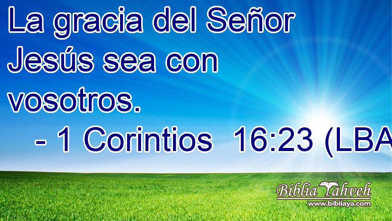 La gracia del Señor Jesús sea con vosotros.