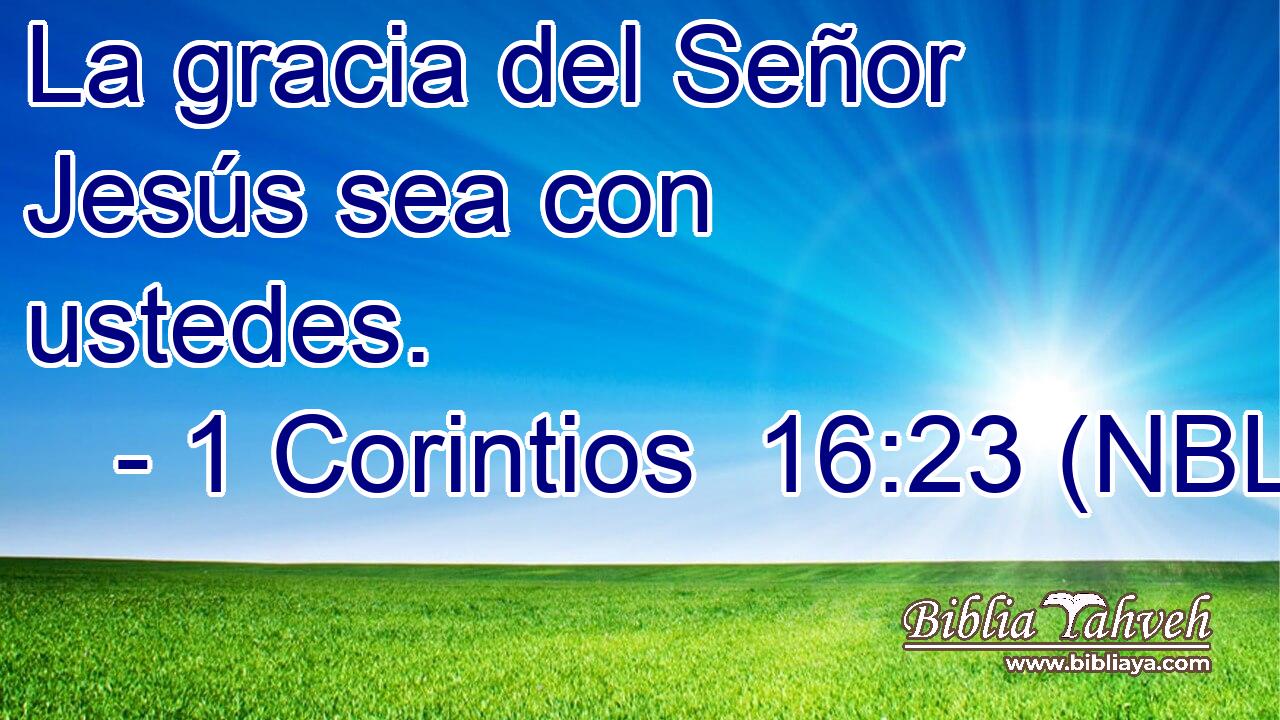  La gracia del Señor Jesús sea con ustedes. 