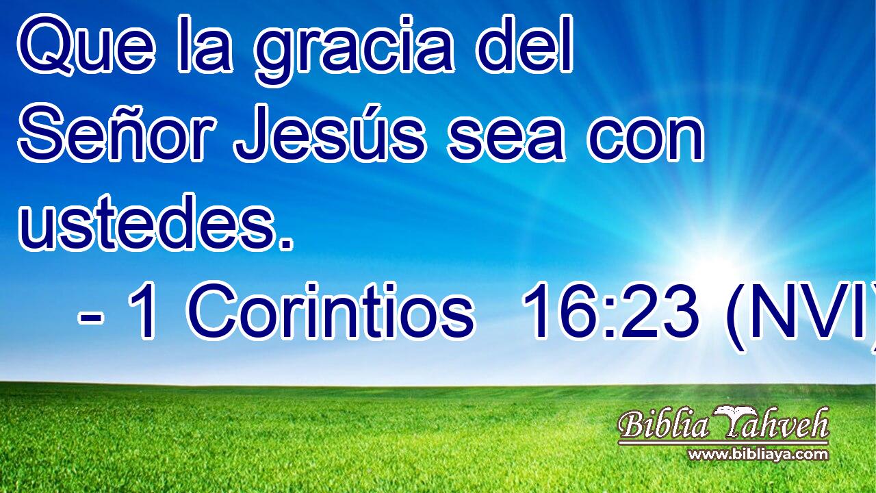  Que la gracia del Señor Jesús sea con ustedes. 
