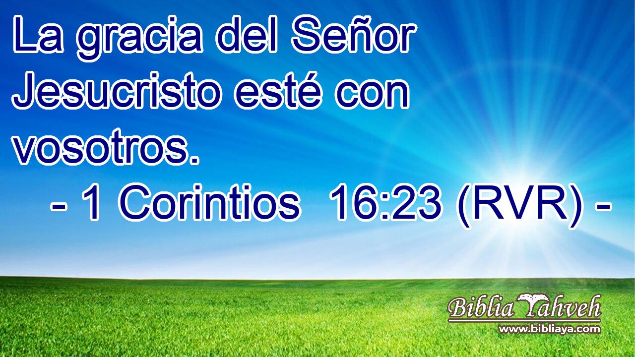 La gracia del Señor Jesucristo esté con vosotros.