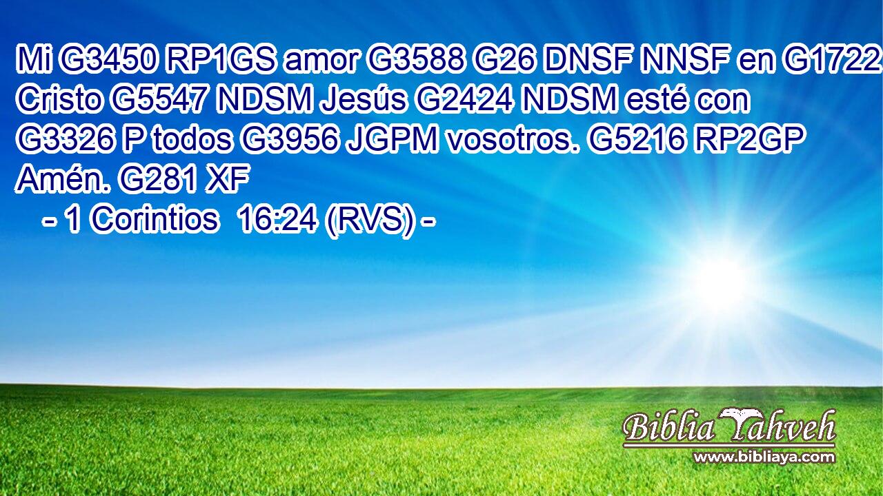 Mi G3450 RP1GS amor G3588 G26 DNSF NNSF en G1722 P Cristo G5547 NDSM Jesús G2424 NDSM esté con G3326 P todos G3956 JGPM vosotros. G5216 RP2GP Amén. G281 XF 