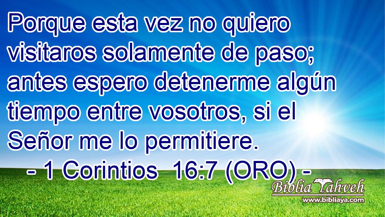 Porque esta vez no quiero visitaros solamente de paso; antes espero detenerme algún tiempo entre vosotros, si el Señor me lo permitiere. 