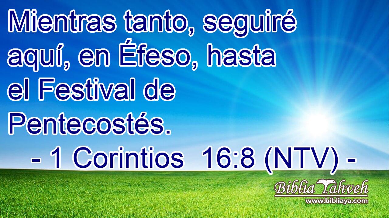 Mientras tanto, seguiré aquí, en Éfeso, hasta el Festival de Pentecostés.