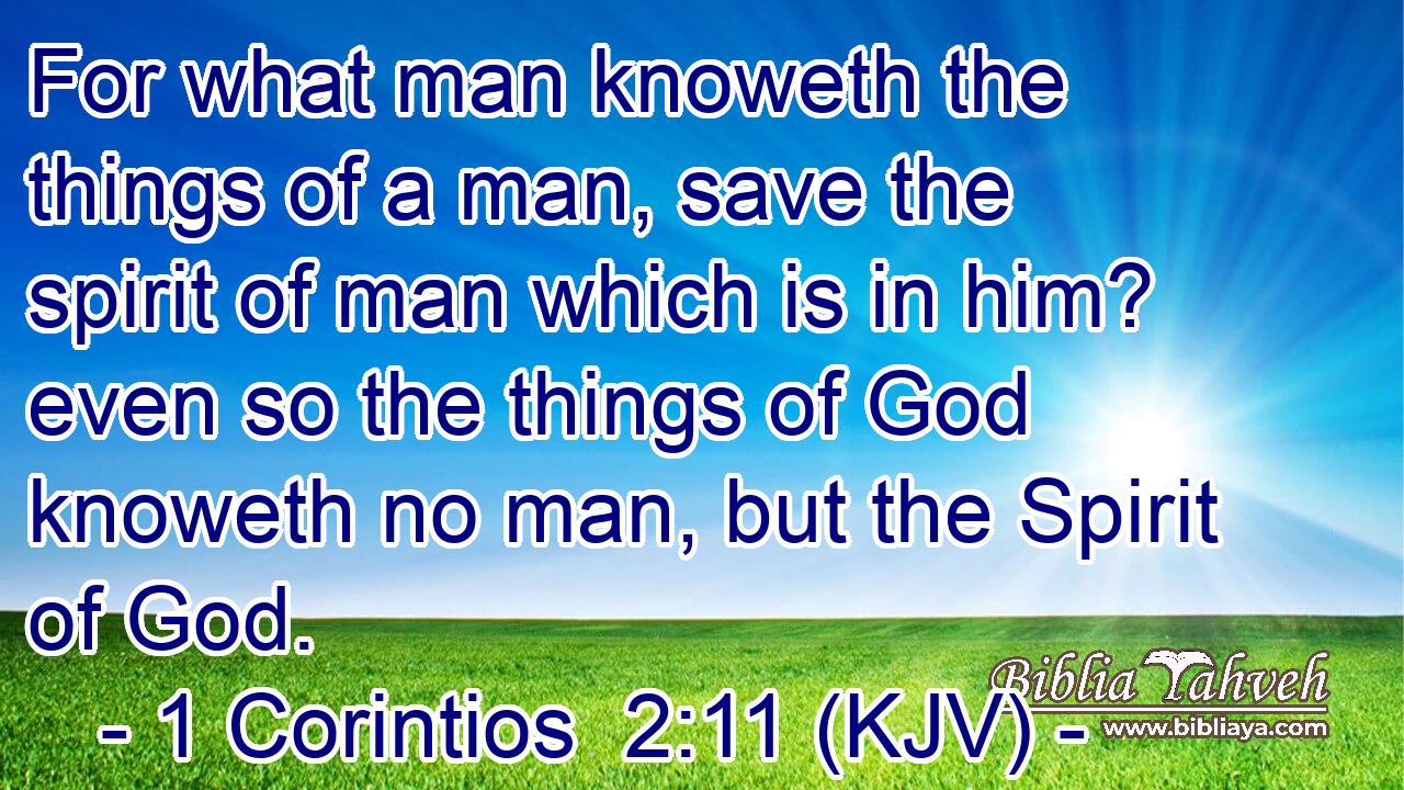 For what man knoweth the things of a man, save the spirit of man which is in him? even so the things of God knoweth no man, but the Spirit of God.
