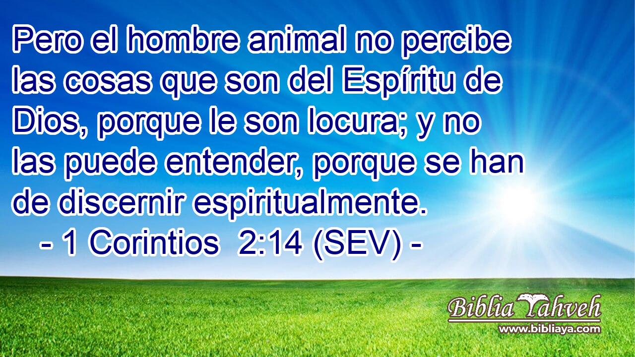 Pero el hombre animal no percibe las cosas que son del Espíritu de Dios, porque le son locura; y no las puede entender, porque se han de discernir espiritualmente.
