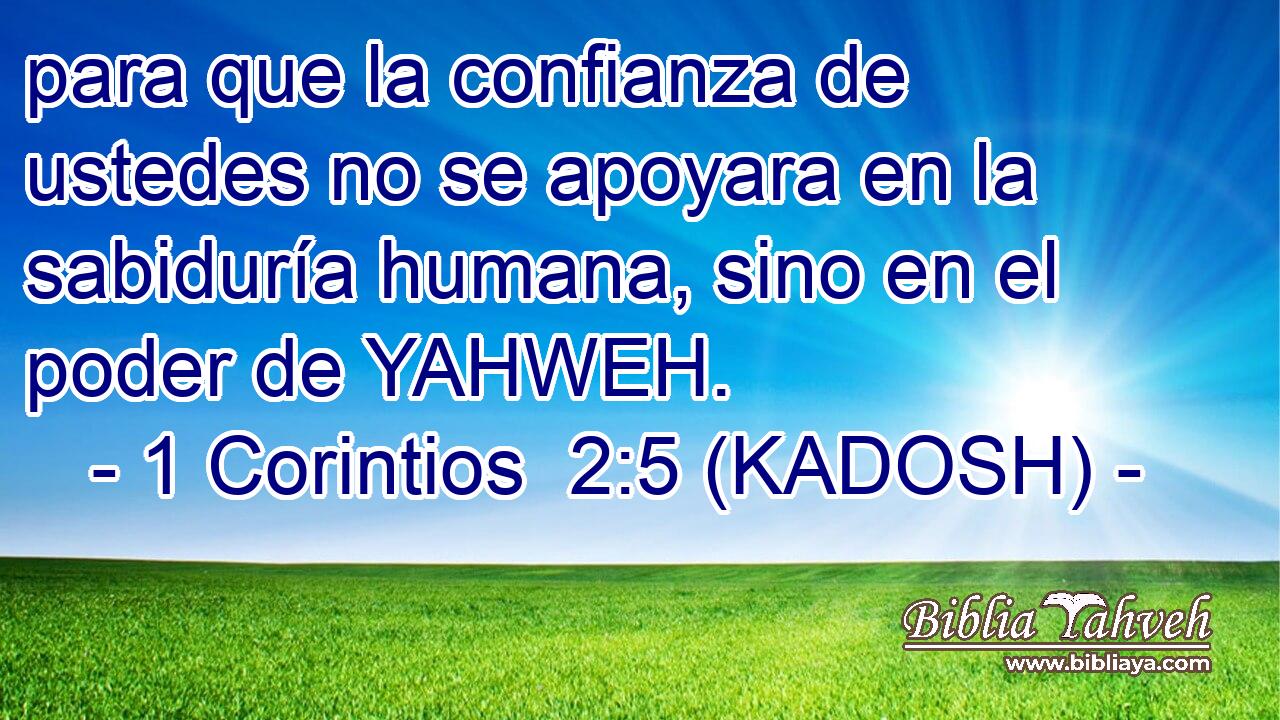  para que la confianza de ustedes no se apoyara en la sabiduría humana, sino en el poder de YAHWEH. 