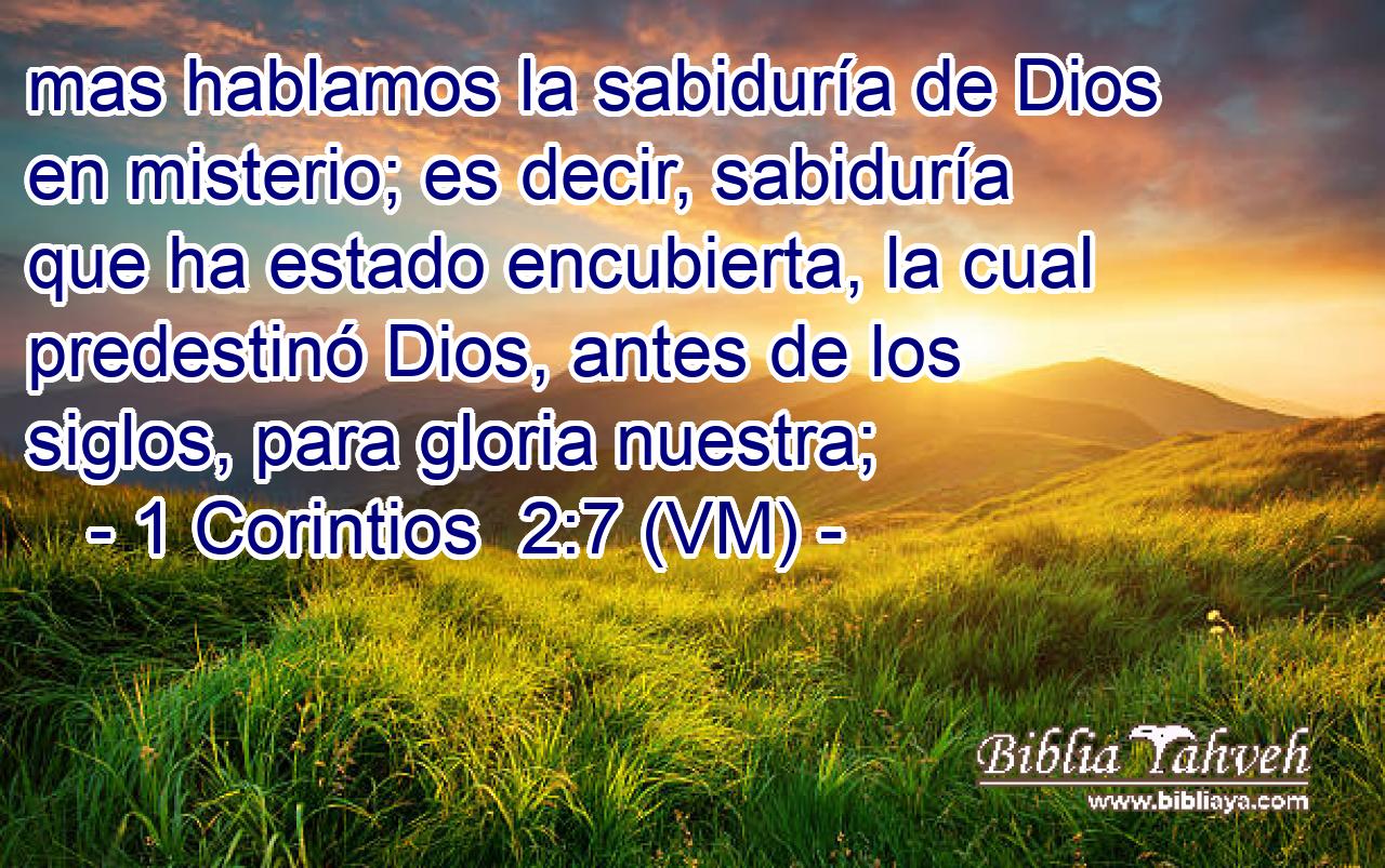 mas hablamos la sabiduría de Dios en misterio; es decir, sabiduría que ha estado encubierta, la cual predestinó Dios, antes de los siglos, para gloria nuestra; 