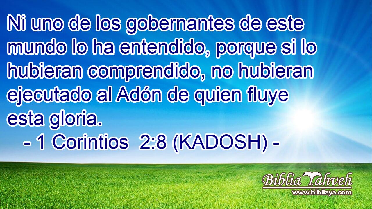  Ni uno de los gobernantes de este mundo lo ha entendido, porque si lo hubieran comprendido, no hubieran ejecutado al Adón de quien fluye esta gloria. 