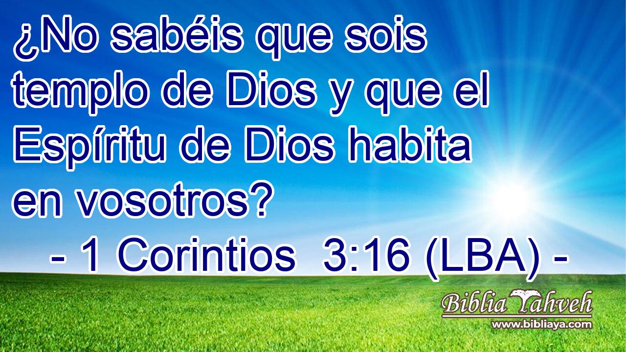 ¿No sabéis que sois templo de Dios y que el Espíritu de Dios habita en vosotros?