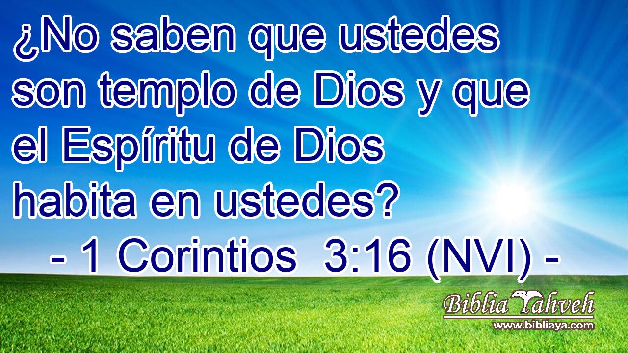 ¿No saben que ustedes son templo de Dios y que el Espíritu de Dios habita en ustedes? 