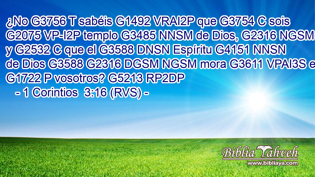 ¿No G3756 T sabéis G1492 VRAI2P que G3754 C sois G2075 VP-I2P templo G3485 NNSM de Dios, G2316 NGSM y G2532 C que el G3588 DNSN Espíritu G4151 NNSN de Dios G3588 G2316 DGSM NGSM mora G3611 VPAI3S en G1722 P vosotros? G5213 RP2DP 